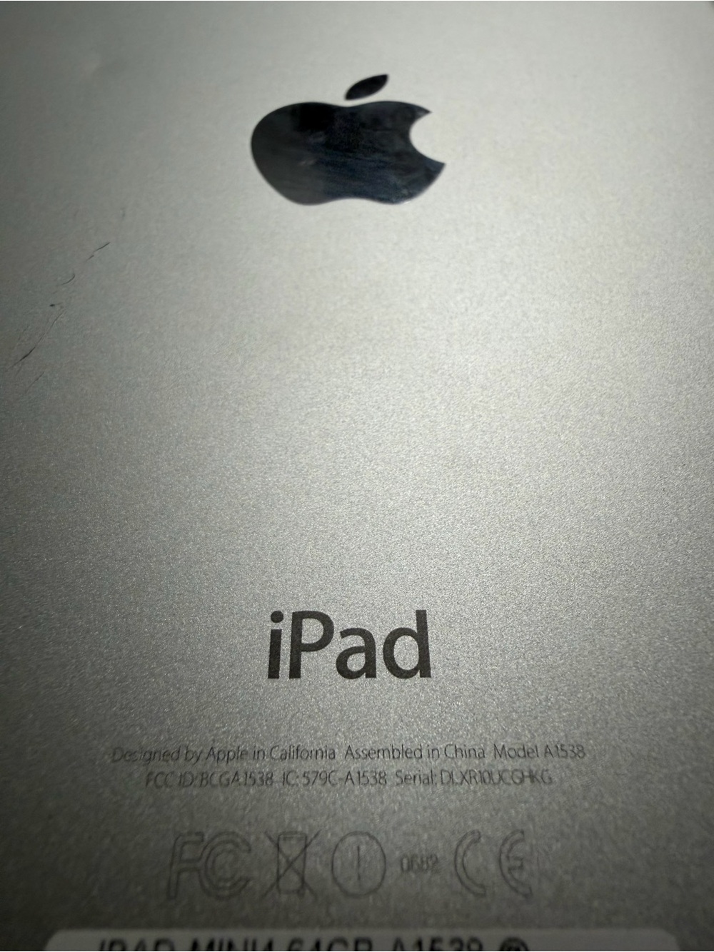 Apple iPad Silver Back Cover - Brushed Silver Finish